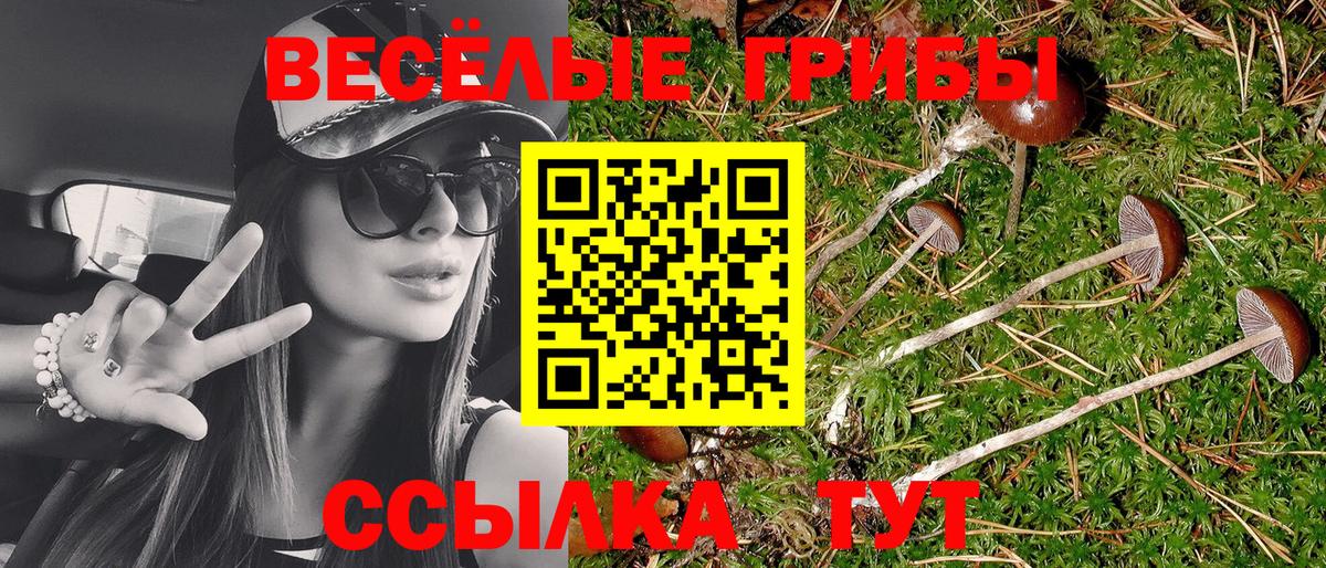 Псилоцибиновые грибы ЛСД  Вход с VPN  Тамбов 